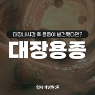 부산내과, 건강검진 범일동 힘내라병원 대장 용종 : 이해와 예방