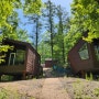 태백고원자연휴양림 트리하우스 4호 | 숲속의집 휴양관 야영장 예약 방법