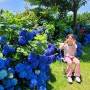 제주서귀포맛집 ♬ 중문 고등어쌈밥 : 계절마다 꽃 구경할수있는 정원있는 밥집