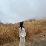 2월 22일의 여행(1) - 장어덮밥은 소고기덮밥으로 잊으면 돼(Feat. 유투어버스) / 히타, 벳푸, 유후인