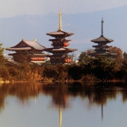 일본 간사이 불교문화탐방 (24.3.11 - 3.14)