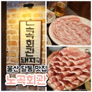 울산 노곡회관 후기 고기가 맛있는 남구 달동 맛집