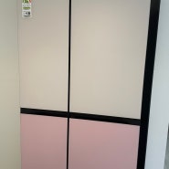 Lg 디오스 오브제컬렉션 매직스페이스 냉장고 핑크 S834BP20 후기