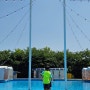 여주 수영장이 있는 트로이 카페 아이와 가볼만한 당나귀 체험가능_내돈내산 찐후기