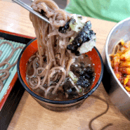 세종 나성동 맛집 [광화문 미진] 수요미식회, 빕구르망 선정 맛집 솔직후기
