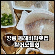 강릉중앙시장맛집 동해바다횟집 싱싱한 광어우럭멍게오징어 활어회 포장 후기
