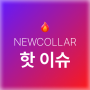 뉴칼라 부동산 핫이슈! 🔥🔥🔥 | 2024.05.23