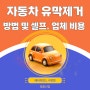 자동차 유막제거 방법 및 비용 정보 (ft. 셀프, 업체)