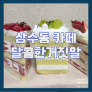 [상수동 카페] 홍대 미니케이크 맛집 딸기 생크림 추천 달콤한거짓말