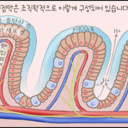 매스딕검 과 DGL 차이점