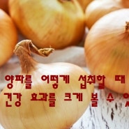 양파를 어떻게 섭취할 때 가장 건강 효과를 크게 볼 수 있을까?