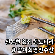 신논현 횟집 활어회명인수산 활명수, 봄도다리 맛집