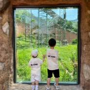 경기도 아이와 가볼만한곳 추천, 과천 서울대공원 동물원 이용 꿀팁