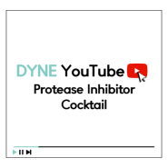 [DYNE YouTube] Protease의 종류 및 protease inhibitor cocktail을 선택하는 기준