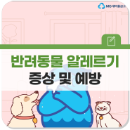 고양이 알레르기 등 반려동물 알레르기 증상 및 예방법 확인!