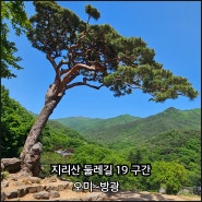 ①지리산 둘레길 19코스 19구간 오미~방광(ft.지리산 수라간)