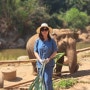 태국 치앙마이 - 현지여행사를 통해 다녀온 도이수텝사원 야경투어와 코끼리보호구역투어~