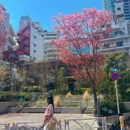 도쿄 여행기 3편 : 피곤해 찌든 몸을 이끌며 쇼핑