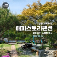 양평 가족여행 추천 '해피스토리펜션' 평상 계곡 수영장 단체객실