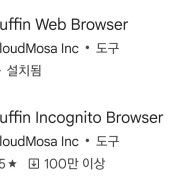 우회 프로그램 Puffin Web과 Incognito Browser 차이점은