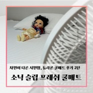 [제품 리뷰] 차원이 다른 시원함, 듀라론 소닉슬립 쿨매트 후기 2탄