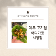 제주시청맛집 어디가코시청점