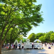 서울 5월 여행 아이와 가볼만한 곳, 물놀이터 꽃사슴방사장이 있는 서울숲