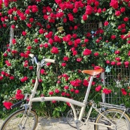 트라이폴드 입문형 미니벨로 자전거 유사브롬톤 바이크스 시티 구입 및 튜닝 (의왕 소닉바이크)