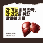 강남한의원추천, 간 기능 회복 한약 및 간 건강을 위한 한의원 치료