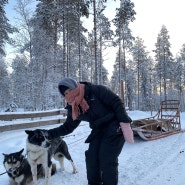 핀란드여행 허스키썰매 겨울 북유럽 패키지투어 후기