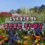 [서울 종로] 서울 가볼 만한 곳 도심 속에서 꽃 구경하기 좋은 곳 열린송현 녹지광장