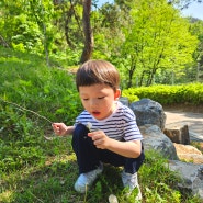 충북 청주 여행 아이와 가볼 만한 곳 [청주랜드 동물원]