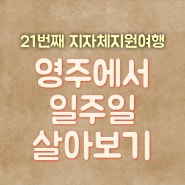 지자체여행지원금으로 경북 영주에서 일주일살기 작성팁 및 선정 후기