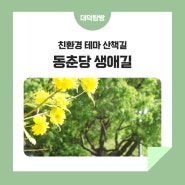 아름다운 경관과 맑은 공기가 함께하는 친환경 테마 산책길 '동춘당 생애길'