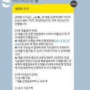 청년 버팀목 대출(HUG) / 1년 미만 재직자 후기 (2)