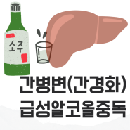 간병변 급성알코올중독 무엇일까