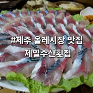 [제주서귀포] 제주 서귀포 현지인 고등어회 맛집-<제일수산횟집> 내돈내산 후기