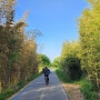 자전거타기 좋은 영산강 자전거 길.친구와 45km 영산강 자전거 타기