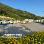 대전카라반 공주 신상 캠핑장 해월카라반앤캠핑