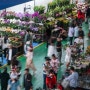 세계로 퍼지는 은은한 꽃향기...中 윈난성 '생화 경제'