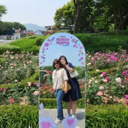 2024 서울대공원 장미축제 첫날 따끈한 실시간 후기