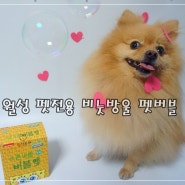 강아지비누방울 추천 월성 펫전용 비눗방울 펫버블