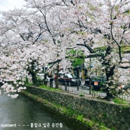 다카세 강변의 벚꽃거리를 지나 기온거리로