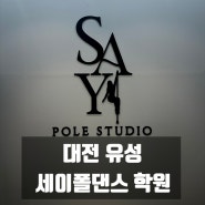 대전 폴댄스, [세이폴스튜디오], 우아한 움직임