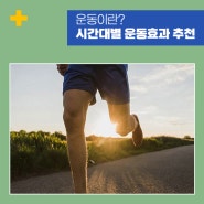 운동이란 시간대별 운동효과 운동 추천