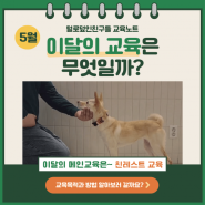 사회화 교육 중심의 강아지 유치원 ! 5월 이달의 교육 안내 [수원 / 영통 / 용인 애견유치원 털로덮인친구들 광교 본점]