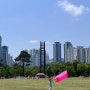 부산시민공원 / 하야리아 잔디광장 / 잔디밭도서관 🌱