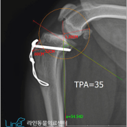 강아지TPLO, 7살 아이 사례로 알아보는 주의사항