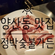 [양산동 맛집] 양산동 고기 맛집 꽃삼겹살과 등심덧살이 맛있는 정박숯불가든 후기