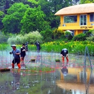한국관광공사가 추천한 천리포수목원 희귀종 식물 둘러보기